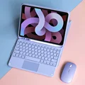 Purple touch mouse
