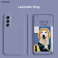 Lavender Grey