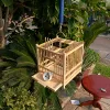Grasshopper Cage, Bamboo Single Grid, Pure Handmade Bamboo Woven Cage, Classic Insect Crawling Tool with Drawer 5