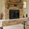 AR-1021 Arrington Fireplace Glass Door, Black, Medium 2