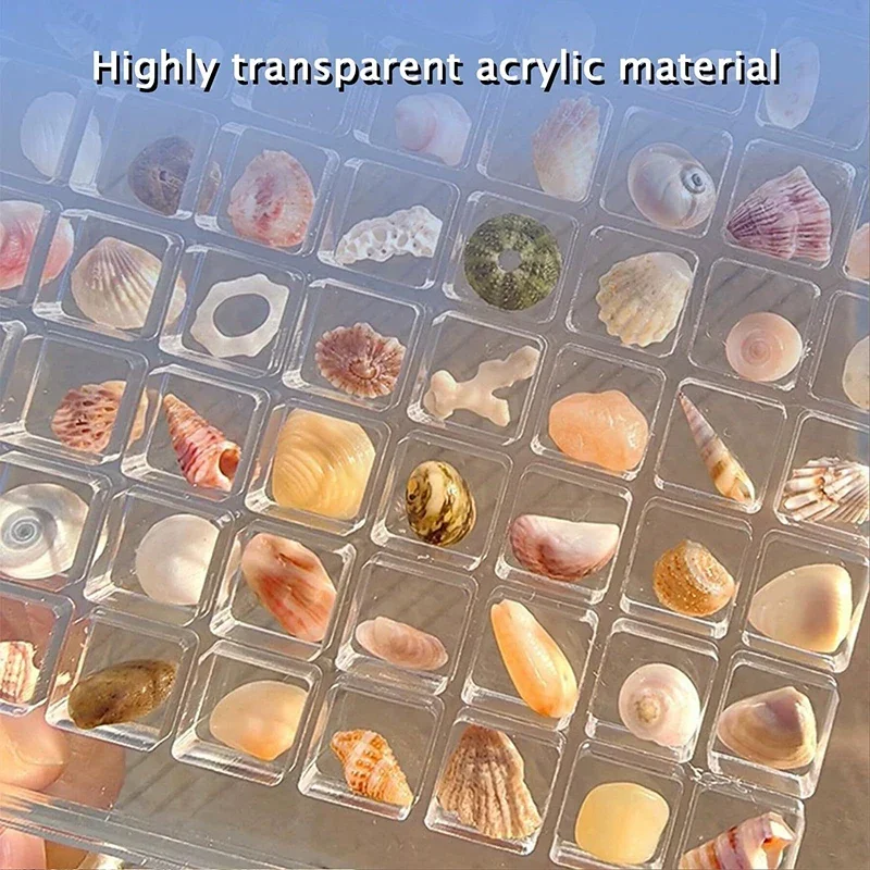 36/64/100 Grids Desk Organizer Acrylic Seashell Display Box with Magnets Starfishs Trinket Storage Case for Bead Nail Jewelry 5