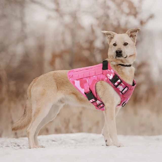 Tactical Dog Pink Dog Harness Small Military Pink Camouflage Dog