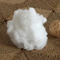 30*30/35*55/30*50/60*60 /40*40/45*45/40*60/65*65cm Solid Cushion Core Head Waist Pillow Inner PP Cotton Filler Cushion Filling 5