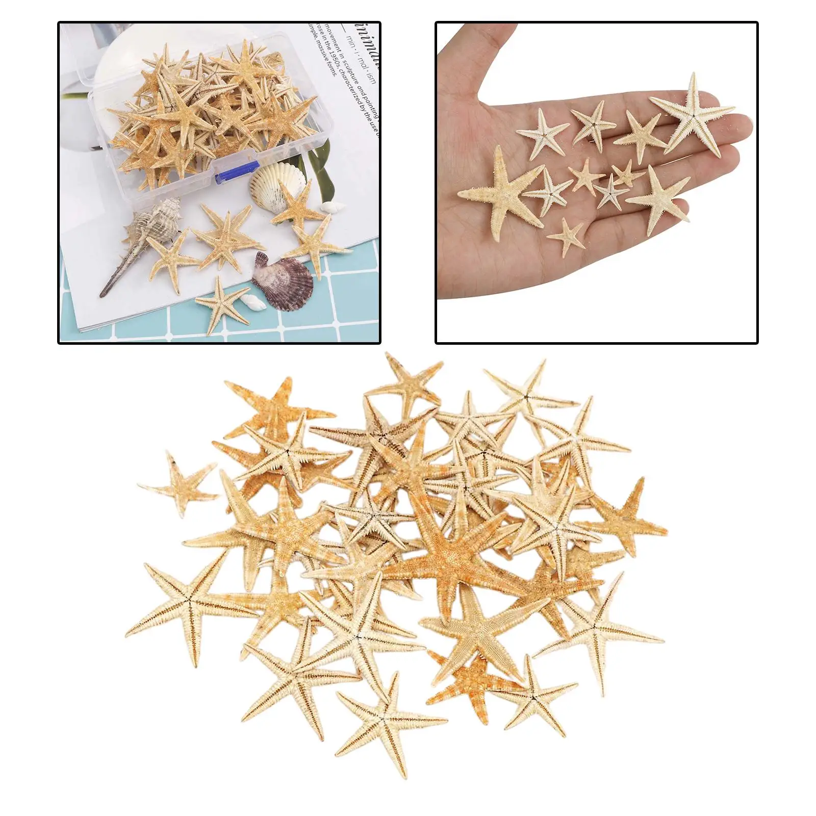 Natural Starfish Decorations Seashells Crafts Wedding Aquarium DIY Decor natural shell ornaments resin starfish ornaments