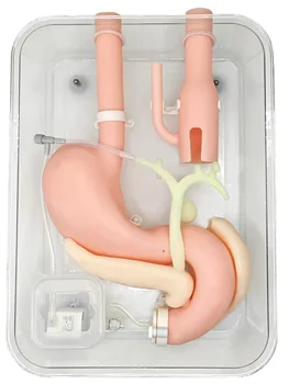 Advanced Gastroscopy Training Model 1