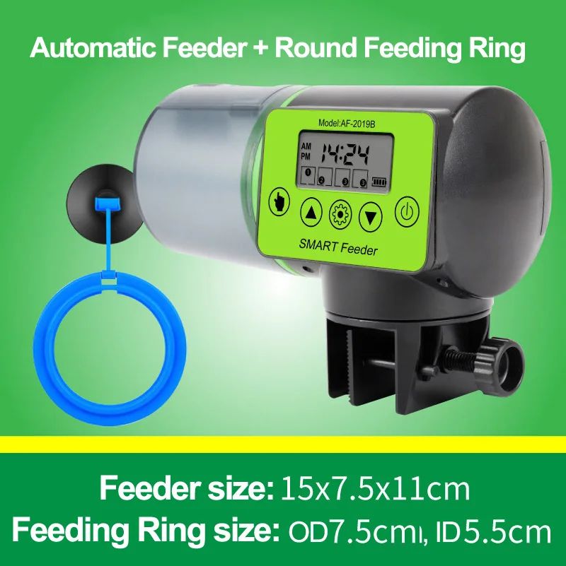 with Round Ring