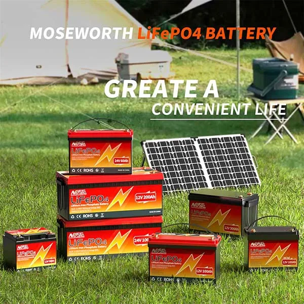 MOSEWORTH LiFePO4 Battery Store
