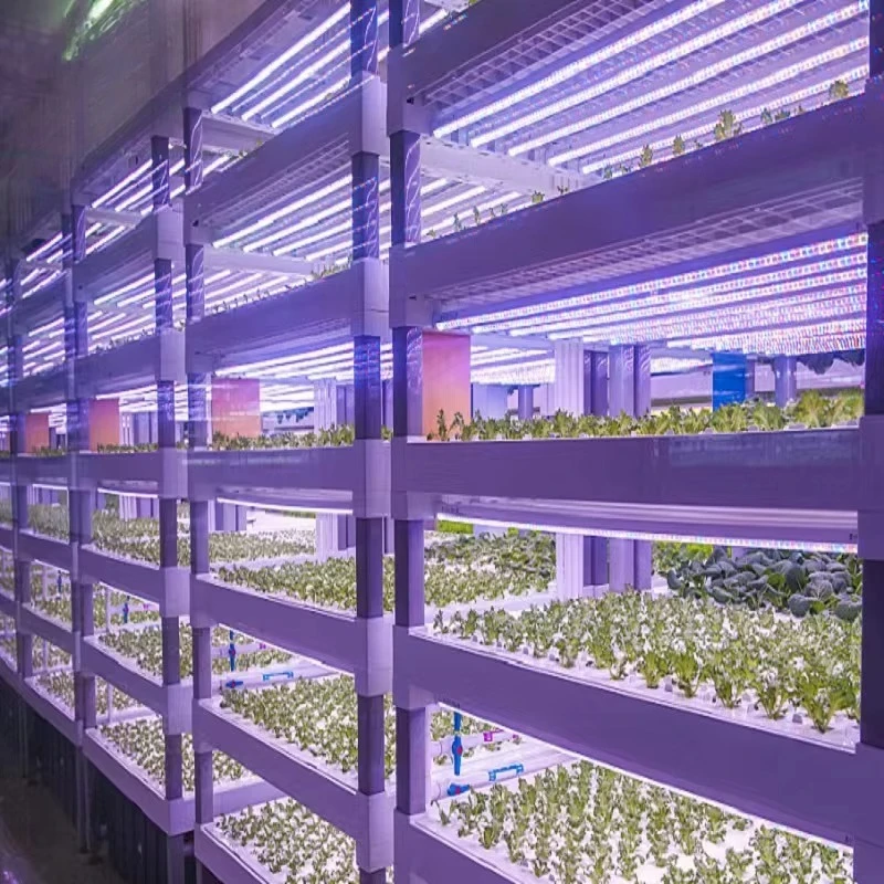 รูปสินค้า ระบบฟาร์มไฮโดรโปนิกส์ในตู้คอนเทนเนอร์ Smart Container Farm