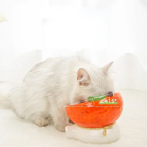 고양이 과일 세라믹 그릇 높이 애완 동물 먹이 물 그릇, 작은 개, 기울어진 음주 먹이, 강아지 고양이 액세서리 4
