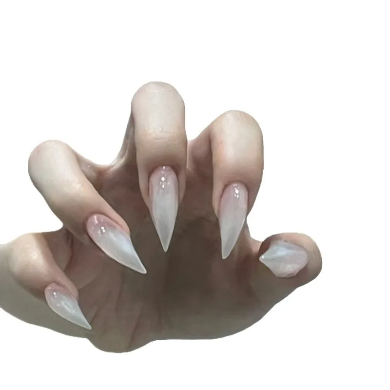 Handcrafted Dragon Claw Press-On Nail Art - 10 Piece Set
