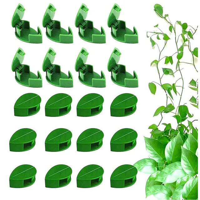Levelek A Növény Rögzítését Tartó / Zöld Növényi Horog Szőlő Vontató