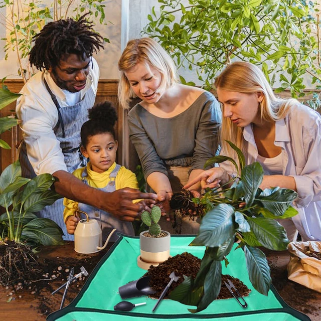 Zamatos Növények Szerszámkészlete 8-14Pcs Kerti Ültetvénykészlet Szobanövény Bonsai Kézátültetés Beltéri Tündérgondozási Cserepes Kaktuszhoz - Image 3