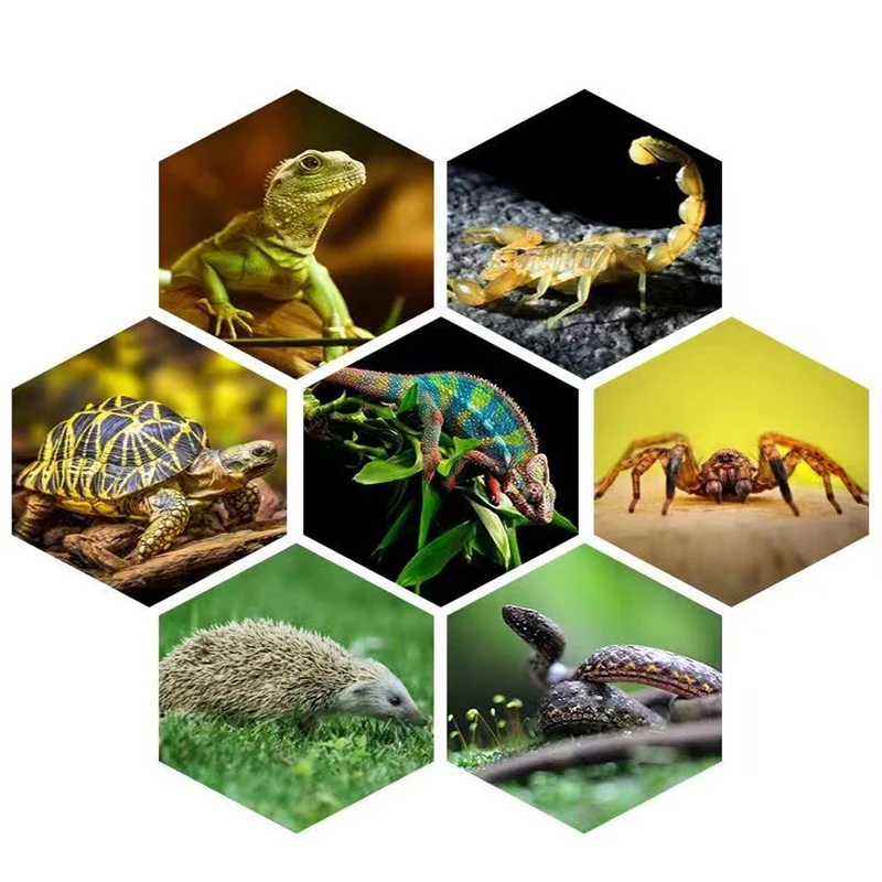 Reptile Heating Lamp Reptile Light Bulb Reptile Lamp Bulb E27 13W/26W Reptile Uvb Lamp Calcium Supplement Lamp UVB5.0/10.0 for Tortoise Lizard Snake UV for Succulent Plants