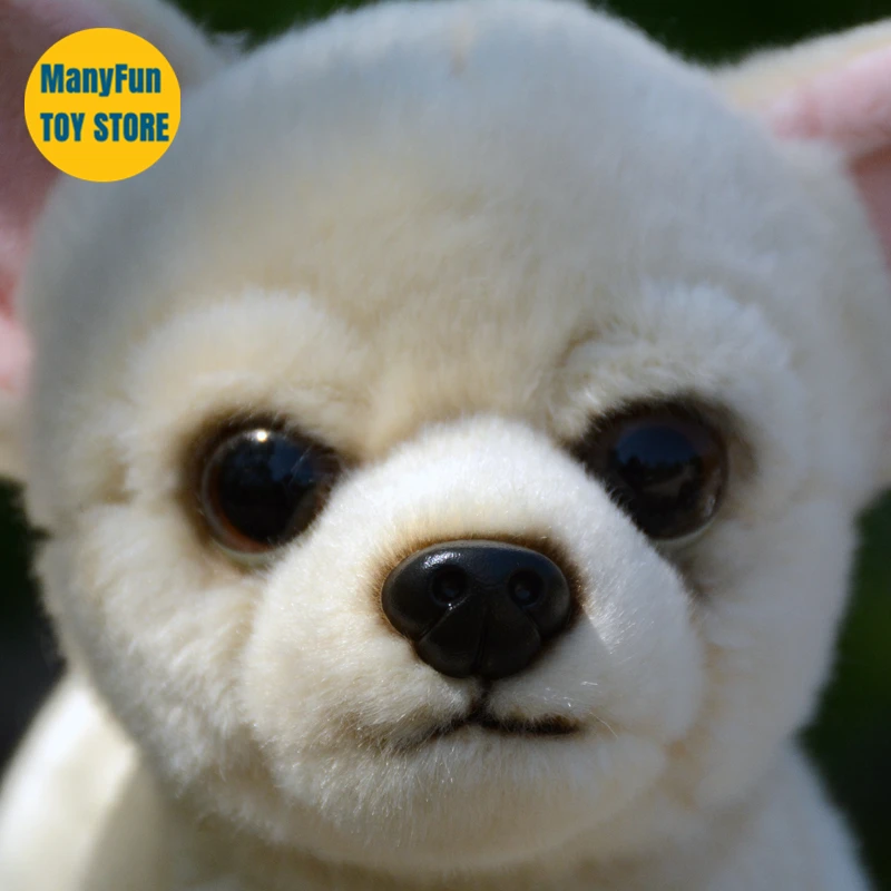 Realistic Chihuahua Dog High Fidelity Cute Plushie Dog Plush Toys Lifelike Animals Simulation Stuffed Doll Kawai Toy Gifts Kids 5