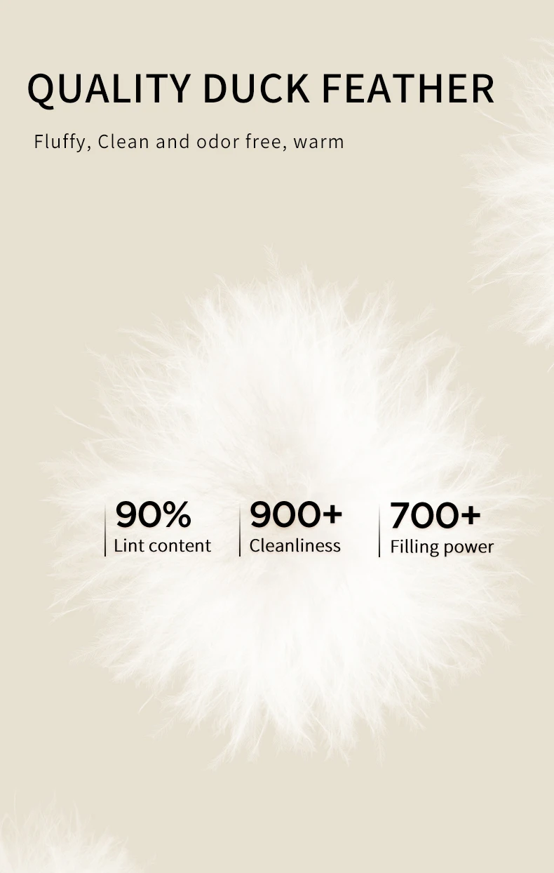 Chericom Korean Fashion Hooded Women's Autumn Winter Down Jacket Light Plaid Casual Versatile Solid Color Puffer Coats 299059