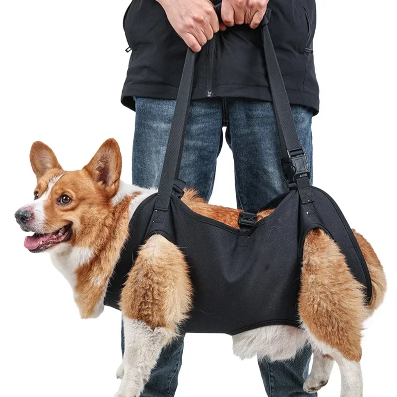 Dog Lift Harness For Large Dogs 1