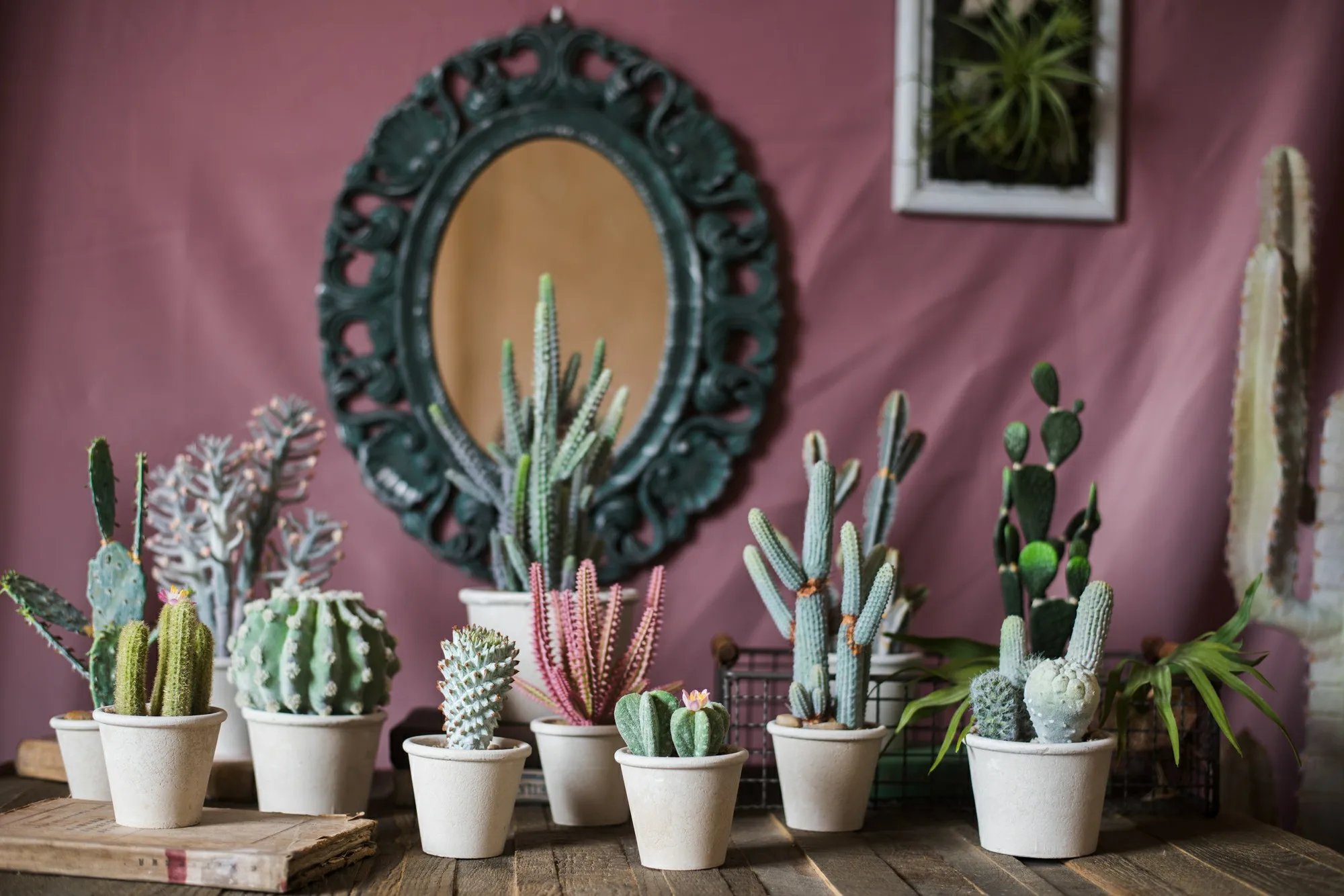 VOSAREA 2 Unidades Simulação De Cacto Pequeno Bonsai Cacto Artificial Em  Vaso Decoração Em Vasos Suculentas Falsas Falso Cactos Artificiais  Decoração Falsa Desenho Animado Plástico