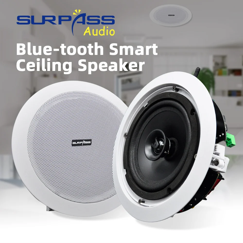 

Smart WIFI Ceiling Speaker Indoor Active Wireless Bluetooth Coaxial Wired Speaker In Pair Home Theather Sound System App Control