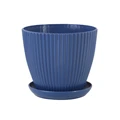 Blue-1PC