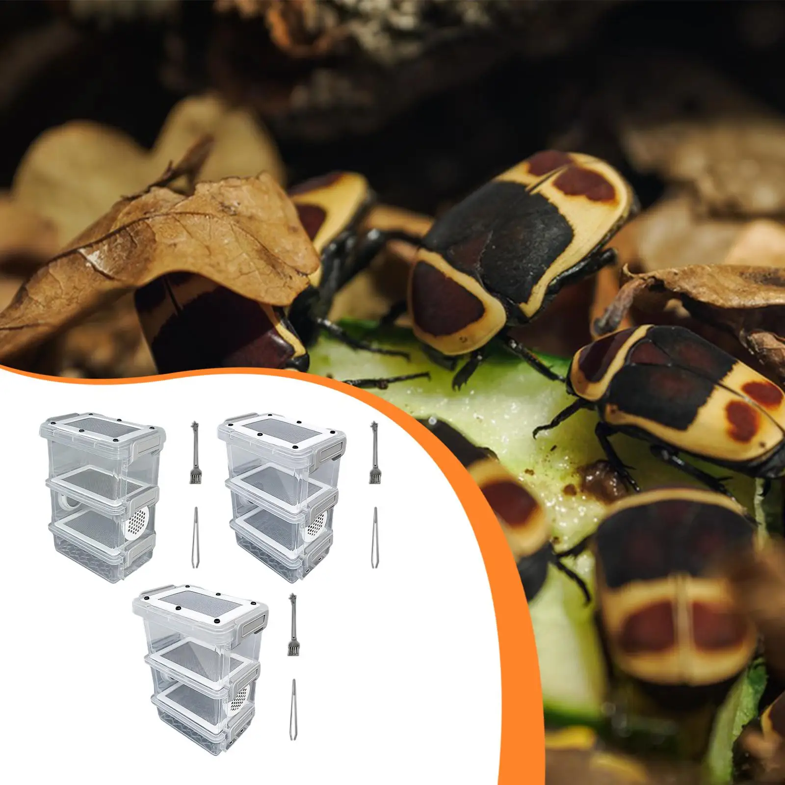 Mini Crickets Feeding Box Plastic Stainless Steel Breeding Case Animal Habitat for Mealworms Roaches and 