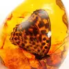 5*4cm Beautiful Amber Butterfly Insects Stone Pendant Necklace Gemstone For DIYJewellery Pendant Crafts Home Decoration C1Z6 1