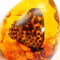 5*4cm Beautiful Amber Butterfly Insects Stone Pendant Necklace Gemstone For DIYJewellery Pendant Crafts Home Decoration C1Z6 1