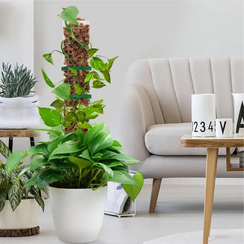 

Пластмассовая опора для растений Monstera, опора для Моха, опора для растений в помещении, для альпинизма