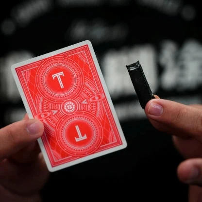 마이 브로 & TCC 파이어 매직의 인스턴트 불꽃 트릭, 무대 마술, 마술사, 마법 소품, 일루전, 마기, 기믹, 튜토리얼