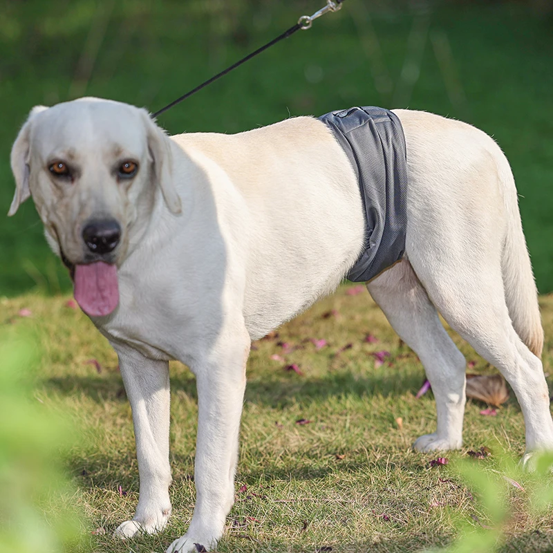 Reusable Dog Diaper 2pack Washable Graphene Male Dog Belly Wrap Antibacterial Absorbent Pet Waist Band Leakproof Sanitary Pant