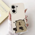 Case-c15