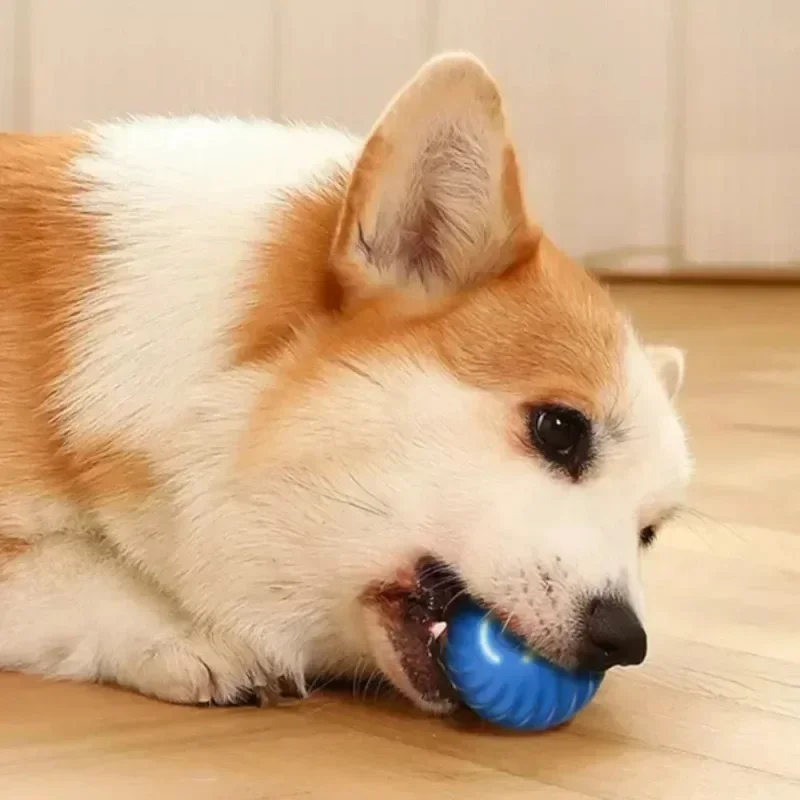 Automatic Moving Bounce Rolling Ball Dog Toy USB Smarts Puppy Interactive Dog Chew Toy Ball Dogs Accessories Pet Toys Home Cats 5