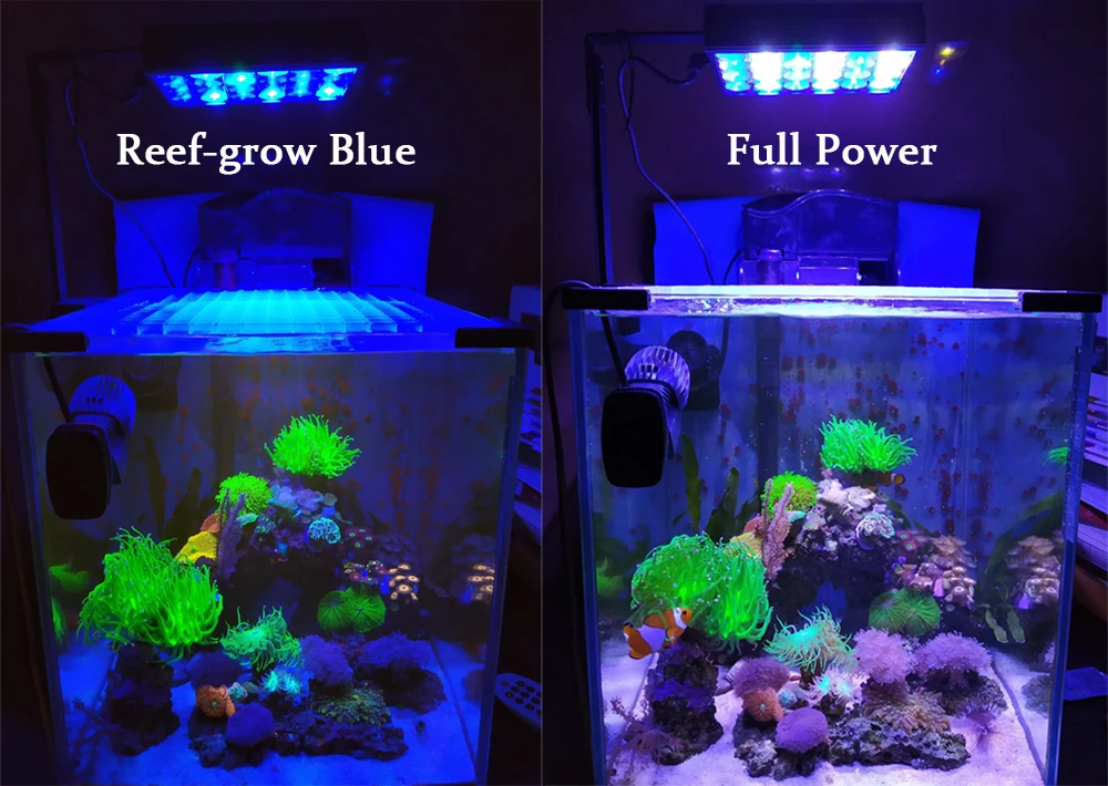 Marine Aquarium Light 30W Coral SPS LPS Aquarium Sea Reef Tank Blue White Beginner 90v-265v For 30-50 cm Seawater Tank Sunrise