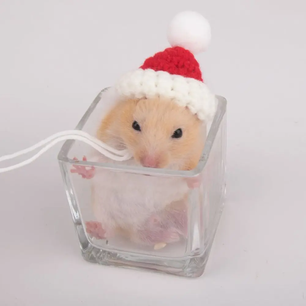Cartoon Hamster Hat - Handmade Soft Knitted Adjustable Pet Cap