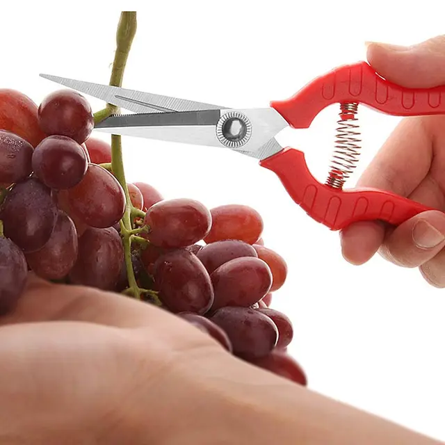 Kerti Metsző Olló Cserepes Ágak Gyümölcsök Kis Háztartási Kézi Szerszámok Ültetvényes Kertészeti - Image 3