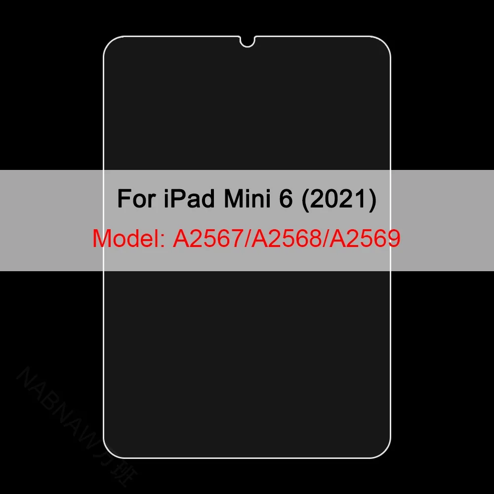 iPad mini 6