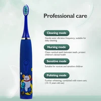 Children Electric Toothbrush Cartoon Kids With Replacement Head Sonic IPX7 Waterproof Rechargeable Sonic Toothbrush 2