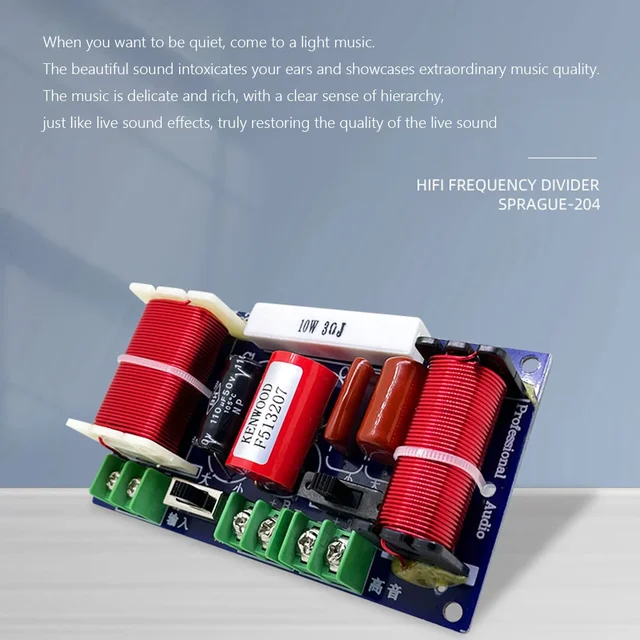 Crossover Audio 2 Vie 250W - Divisore Di Frequenza Per Altoparlanti HiFi DIY - Foto 3