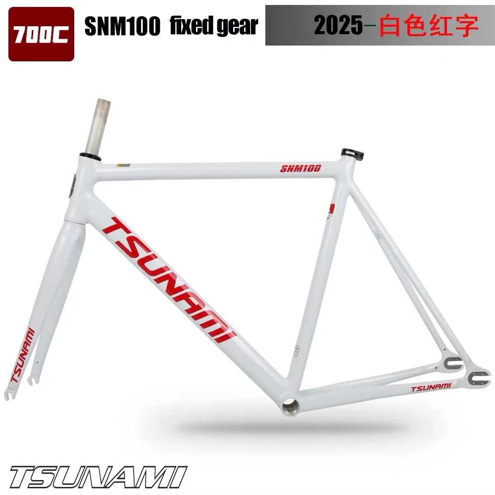 スリラム15 （2025） tsunami snm100 2025: Best Racing Bike Frame