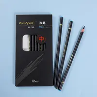 12PCS Professional Charcoal Pencils for Drawing, Sketching, Shading, Artist Pencils for Beginners & Artists 3