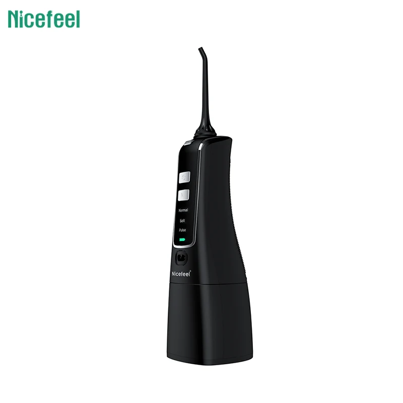 Adult Portable Electric Tooth Cleaner High Pressure Water Jet Ultrasonic Cleaner