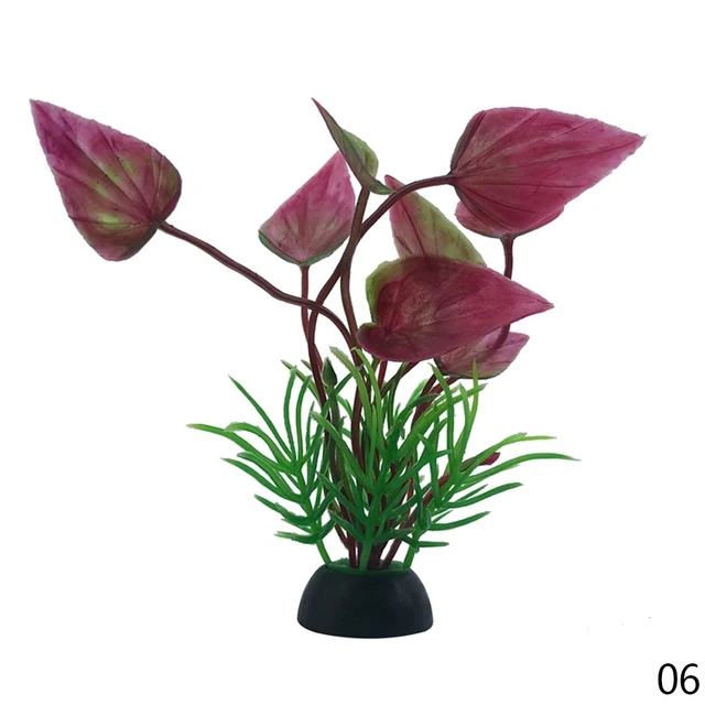 Image 13