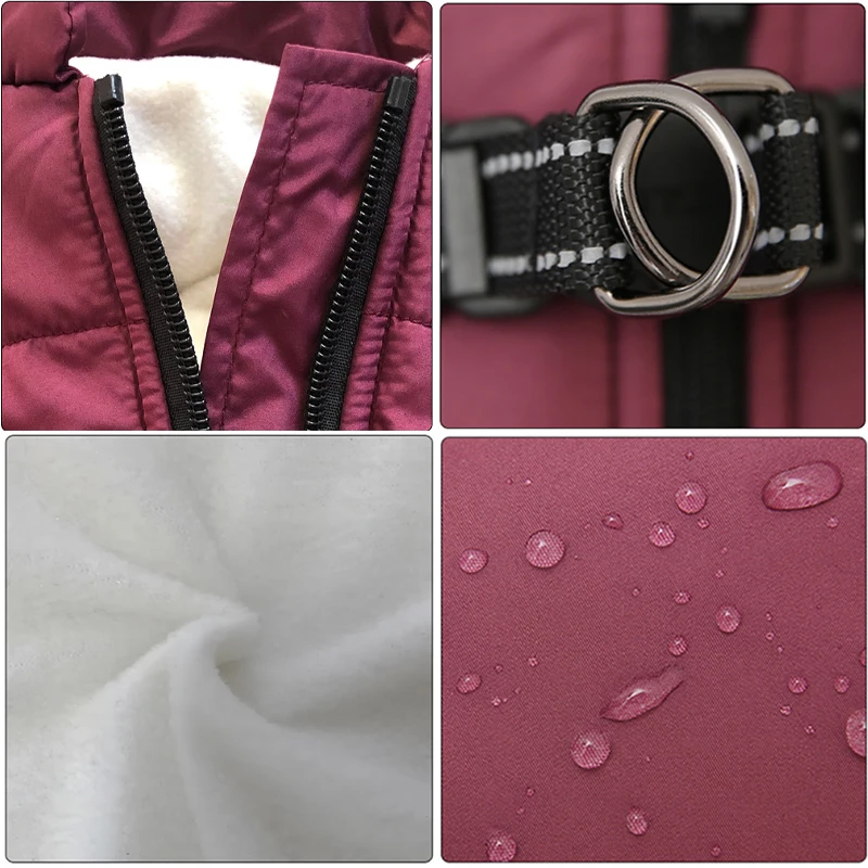 dsc-products