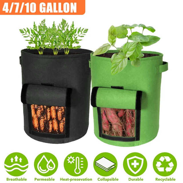 Perfect 5 Gallon Small Nursery Pots Regular Planter Grow Bag for Nursery -  China Grow Bags and Nursery Pots price