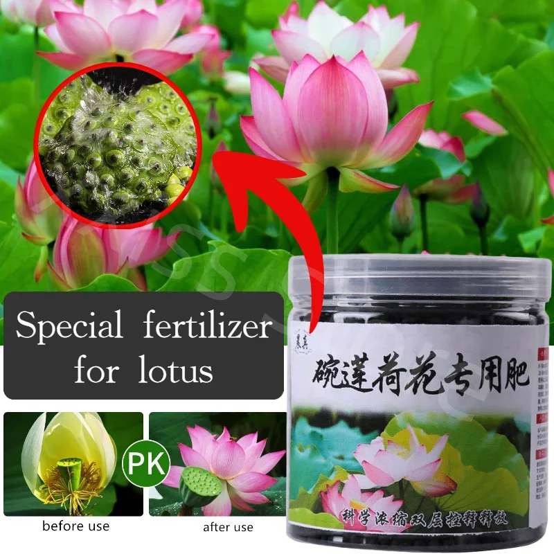 Garden Fertilizer For Lotus Aquatic Plants