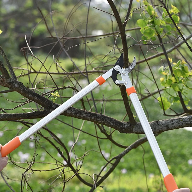 Anti-Slip Grip Garden Pruning Tools Cut Tree Branch Tools Length Scissor Hedge Anvil Shear Fruit Tree Shear 4