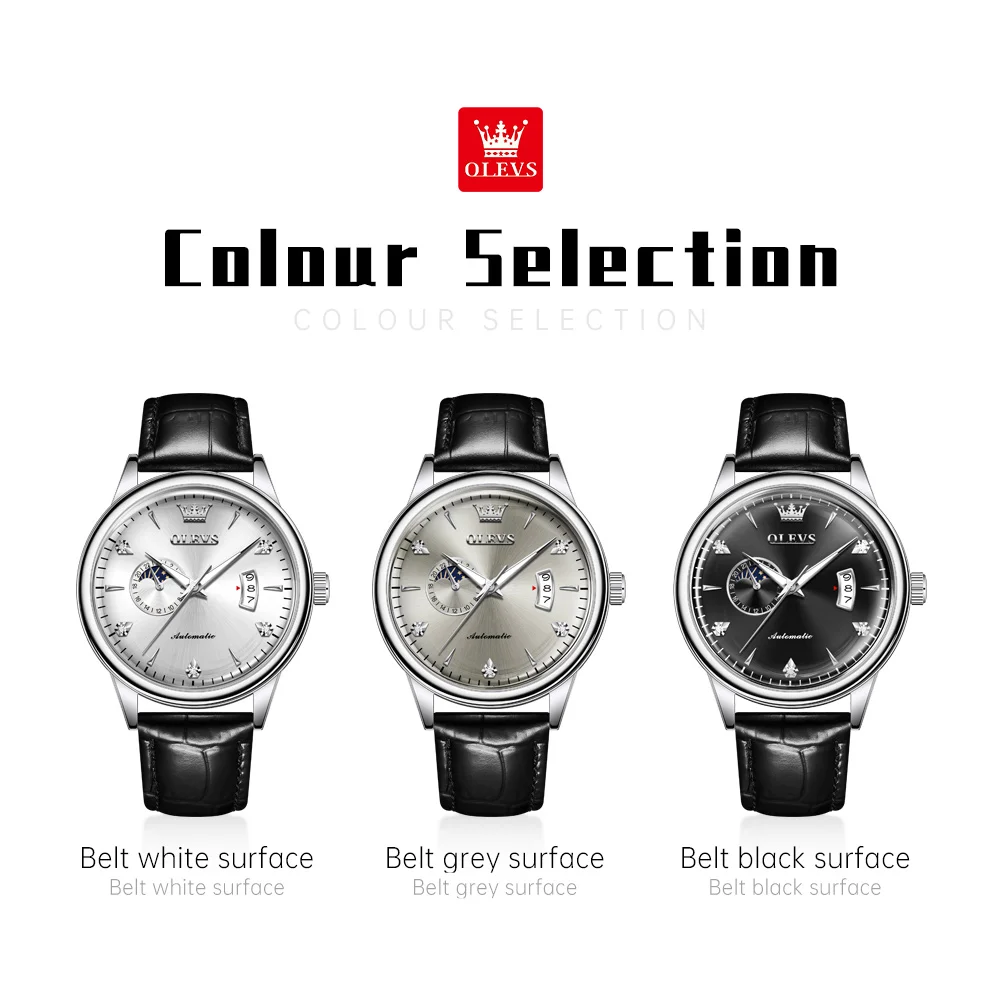 OLEVS Mens Watch Original Brand Mechanical Wristwatch Men Leather Strap Reloj Waterproof Luminous Automatic Date Watches