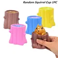 Squirrel Cup 1PC
