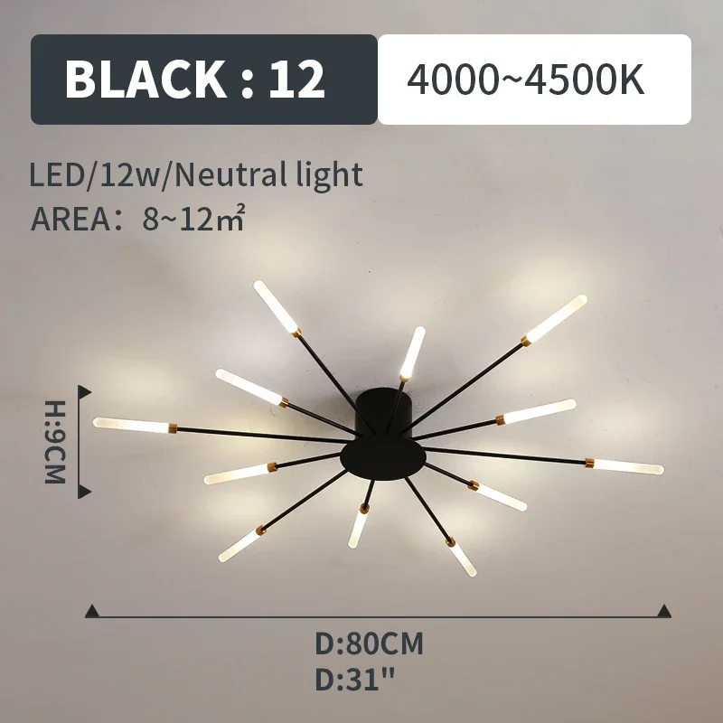 black 12 lights