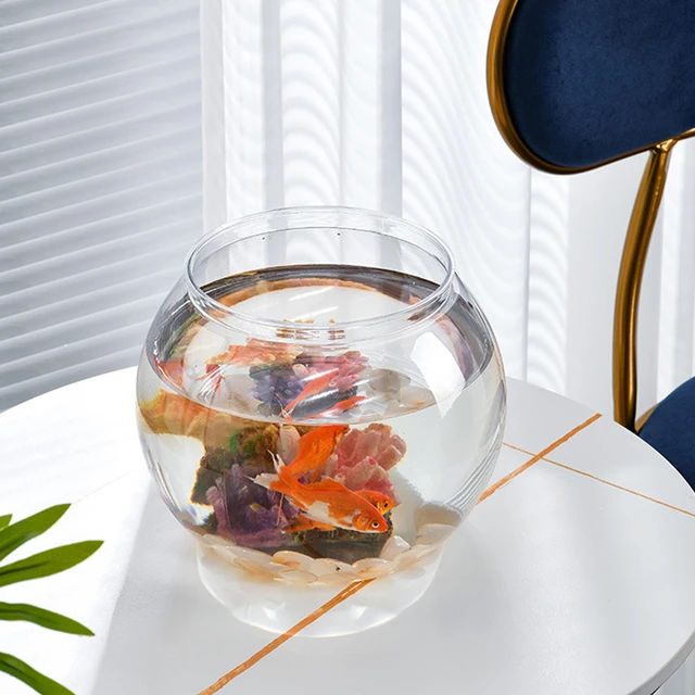 Desktop Fish Tank Large Round Planter Plastic Fish Bowls Glass Bowl  Aquarium Terrarium Clear Glass Vases - AliExpress