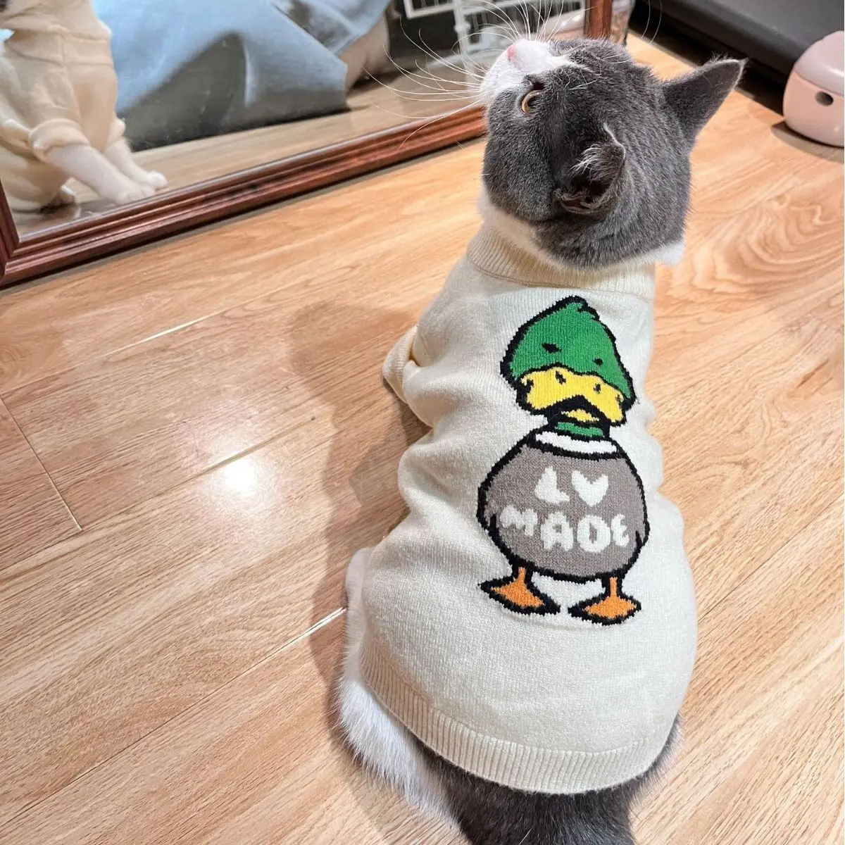 Pet Clothes Autumn and Winter Cat Dog New Sweater Anti-lint Spring and  Autumn Cute Cartoon - AliExpress